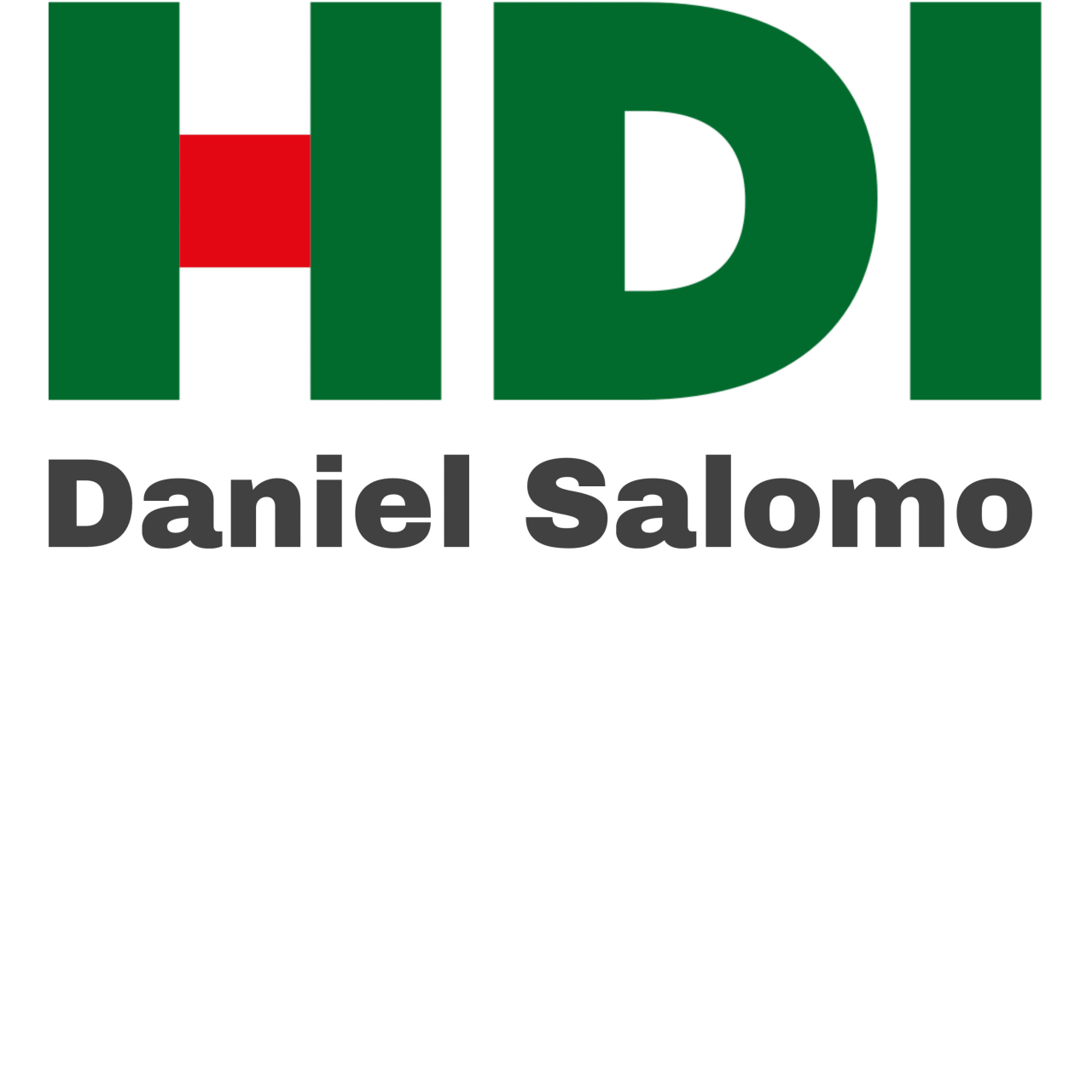 Learn more about HDI Hauptvertretung Daniel Salomo.