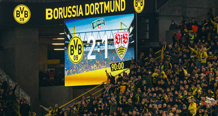 NEU BVB 09 Borussia Dortmund Fanpaket Adrenalin 1x 0,5 l echte Liebe 1 Dose 500 