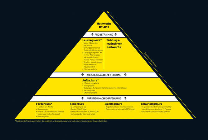 Diagramm der Entwicklungspyramide BVB Fußballschule