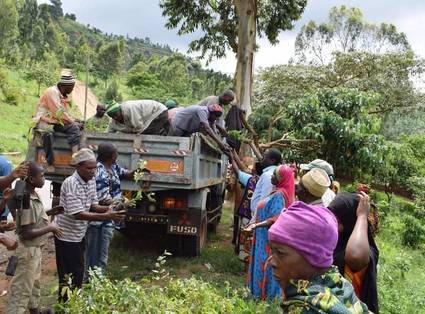 Tree donation to restore the ecosystem in Tanzania